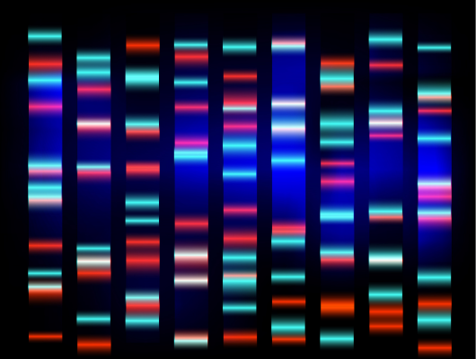 illustrative image of colourful genome data