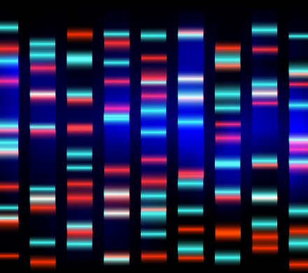 illustrative image of colourful genome data